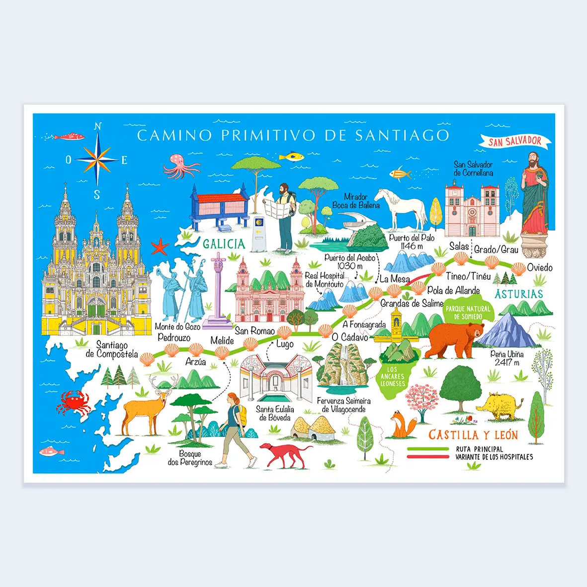 Camino Primitivo